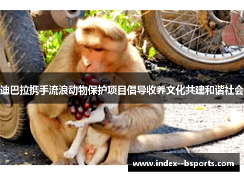 迪巴拉携手流浪动物保护项目倡导收养文化共建和谐社会